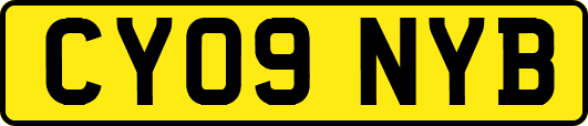 CY09NYB