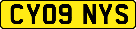 CY09NYS
