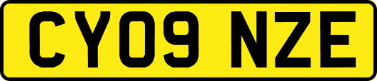 CY09NZE