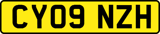 CY09NZH