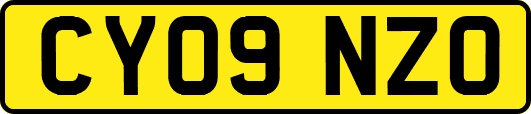 CY09NZO