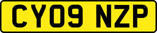 CY09NZP