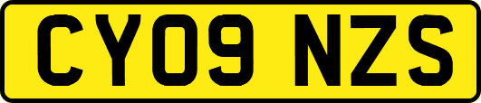 CY09NZS
