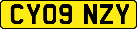 CY09NZY