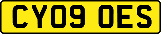 CY09OES