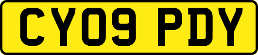 CY09PDY