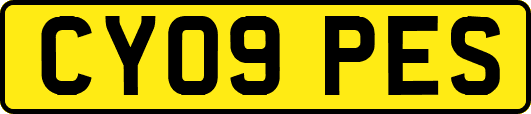 CY09PES
