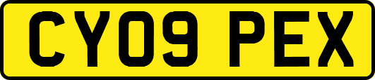 CY09PEX