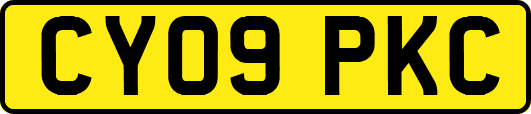 CY09PKC