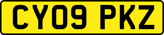 CY09PKZ