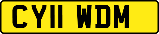 CY11WDM