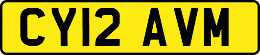 CY12AVM