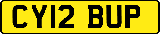 CY12BUP