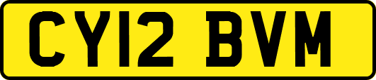 CY12BVM