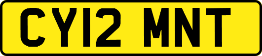CY12MNT