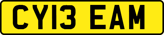 CY13EAM