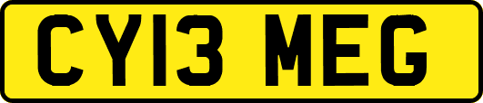 CY13MEG