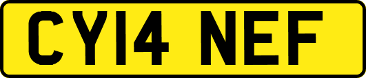 CY14NEF