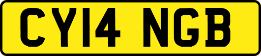 CY14NGB
