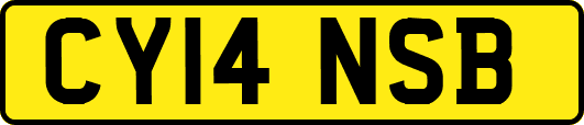 CY14NSB
