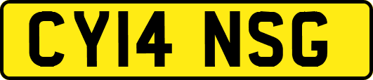CY14NSG