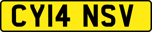 CY14NSV