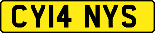 CY14NYS