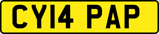 CY14PAP