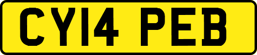 CY14PEB