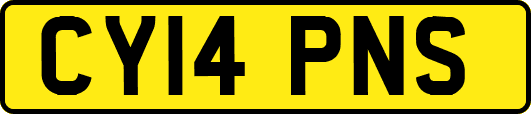 CY14PNS
