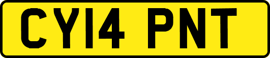 CY14PNT
