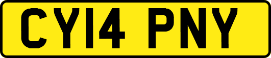 CY14PNY