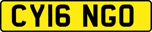 CY16NGO