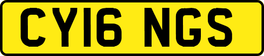 CY16NGS