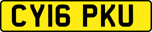 CY16PKU