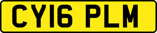 CY16PLM