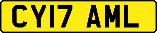 CY17AML