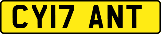 CY17ANT