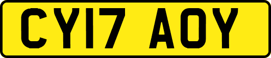 CY17AOY