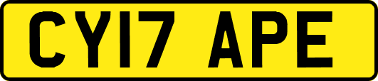 CY17APE