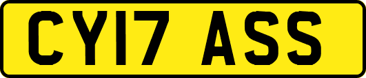 CY17ASS