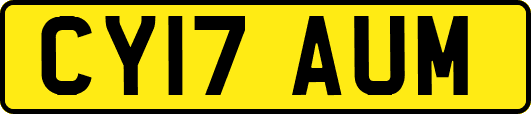 CY17AUM