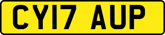 CY17AUP