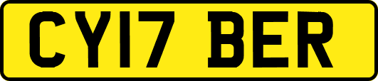 CY17BER