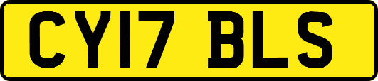 CY17BLS