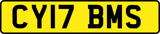 CY17BMS