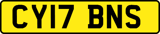 CY17BNS