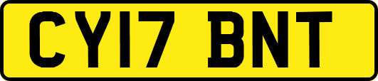 CY17BNT