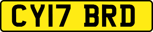 CY17BRD