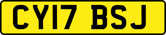 CY17BSJ